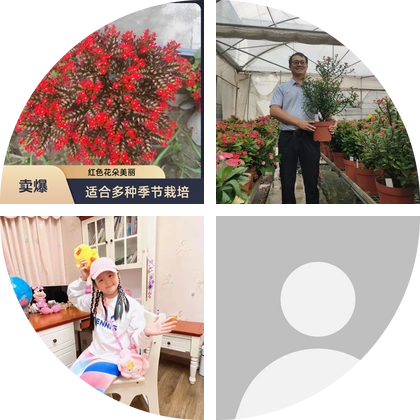 02凤尾长寿花养护交流 群聊头像