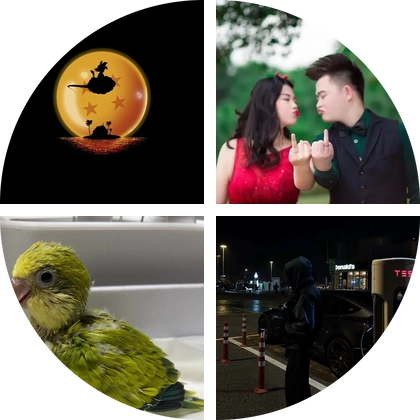 悟空撸车🚘交流群1 群聊头像