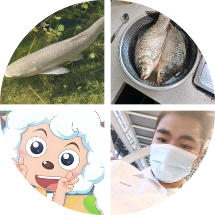 野钓 群聊头像