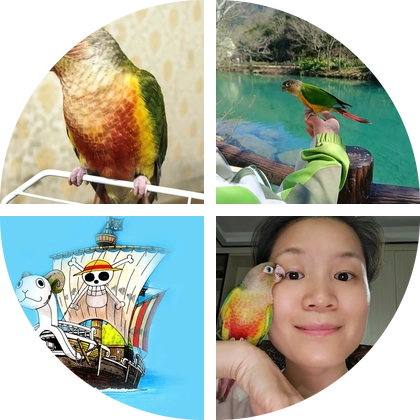 鹦鹉交流 群聊头像