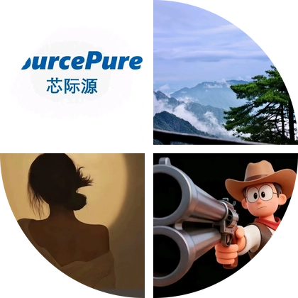 半导体行业交流群 群聊头像