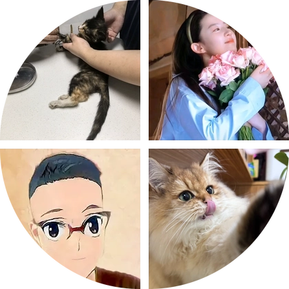 被撞三花救助群 群聊头像