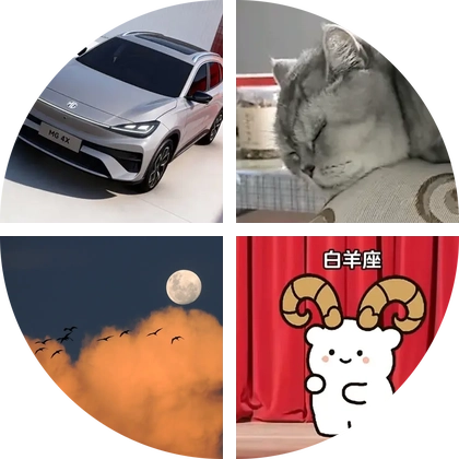 名爵MG4X车友群🚗 群聊头像