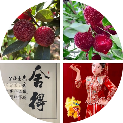 杨梅之约粉丝群 群聊头像