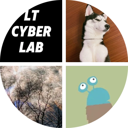 LTCyberLab机器人交流⑧群 群聊头像