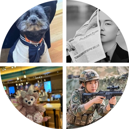 铁丝狗🐶救助群 群聊头像