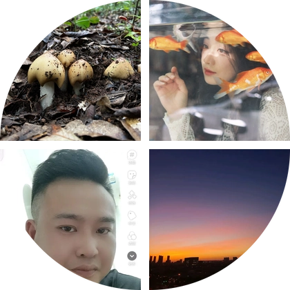 绍兴采蘑菇打野 4群 群聊头像