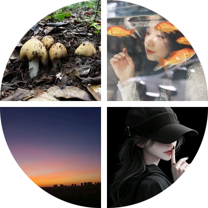 绍兴采蘑菇打野 4群 群聊头像