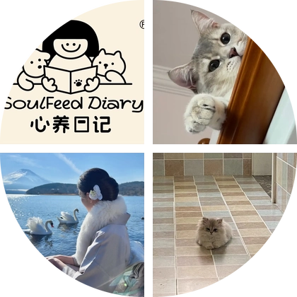 心养日记猫粮形象代言猫面试群 群聊头像