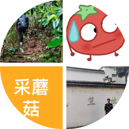 杭州捡蘑菇大队666666 群聊头像