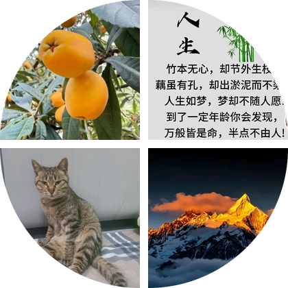 果树嫁接技术交流群 群聊头像