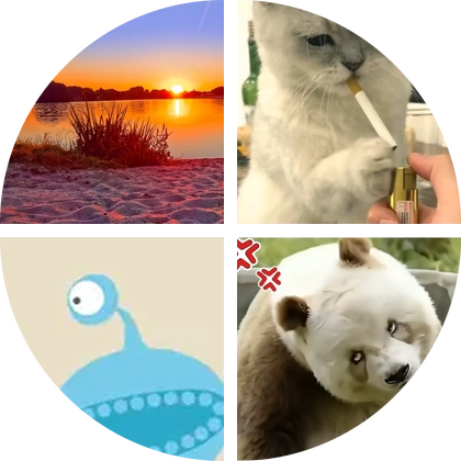 龙泉，三岔湖，捡蘑菇 群聊头像