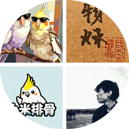 小护士养鸟-河北群 群聊头像