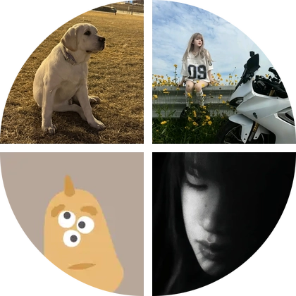 猫咪交流群 群聊头像