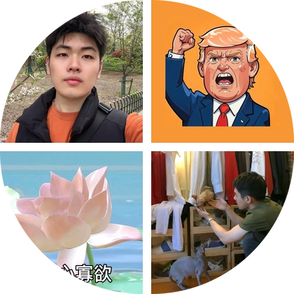 宠物代找群 3 群聊头像