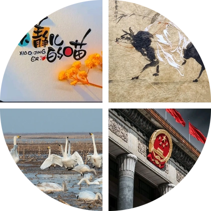 内蒙古宠物交流群 群聊头像