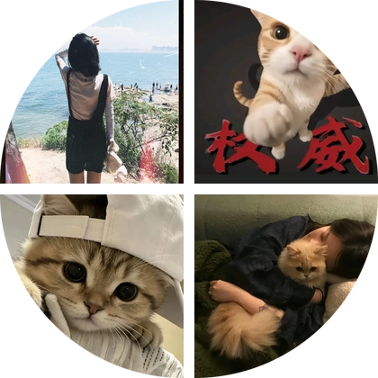 高考生答疑解惑 群聊头像
