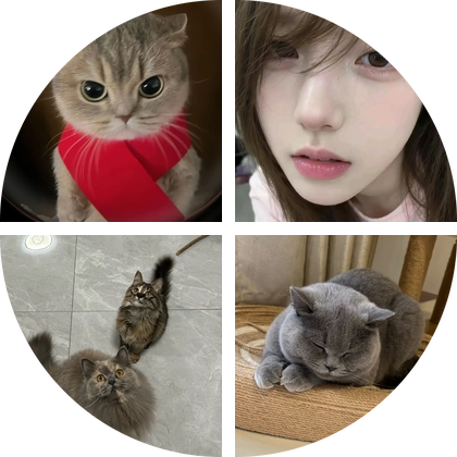 猫咪救助2群 群聊头像
