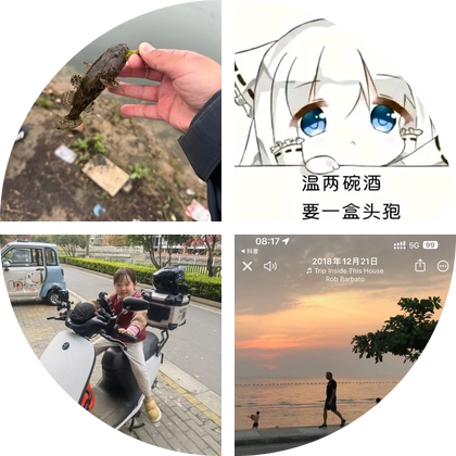 龟蜜群 群聊头像
