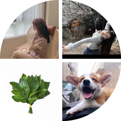 早睡早起 群聊头像