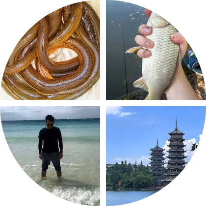 寸滩附近钓鱼群 群聊头像