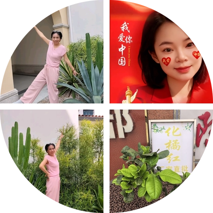 东北老乡一家亲 群聊头像