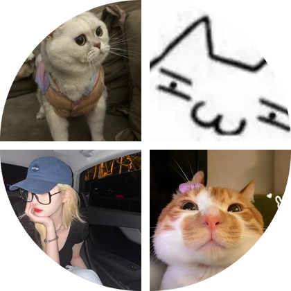 福州塔头瘫痪小橘猫救助群 群聊头像