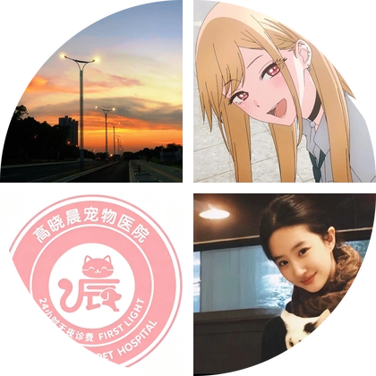 狗狗救助群 群聊头像