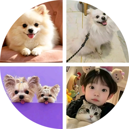 博美宠学园4群 群聊头像