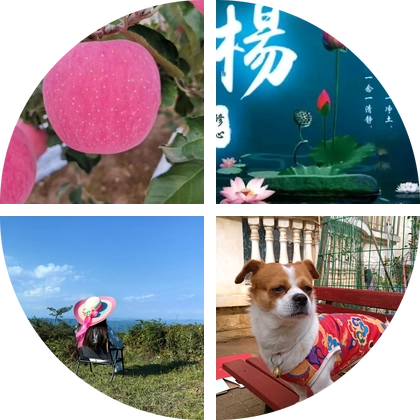 送苹果 群聊头像