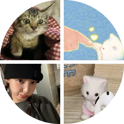 猫猫群 群聊头像