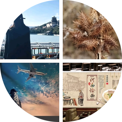 河南老乡 群聊头像