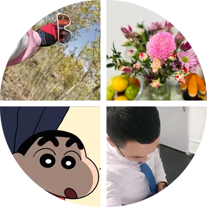 走哇！去赶海 群聊头像