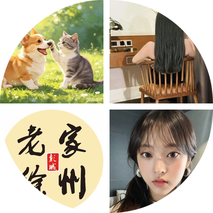 猫咪丢失群 群聊头像