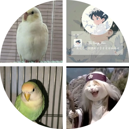 轩轩手养玄凤 群聊头像
