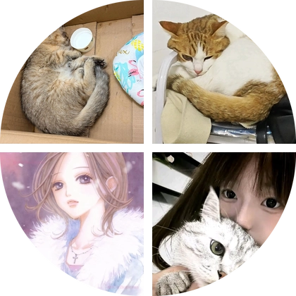 小猫米洛救助群 群聊头像