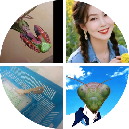 爬宠（螳）·群 群聊头像