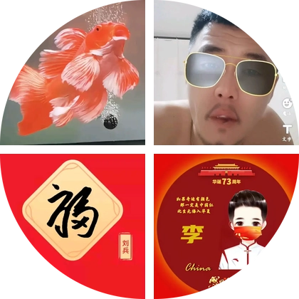 闹闹蝴蝶鲤, 华子蝴蝶鲤, 兵哥2., 中嘉科技 群聊头像