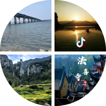 若安路亚野钓交流群 群聊头像