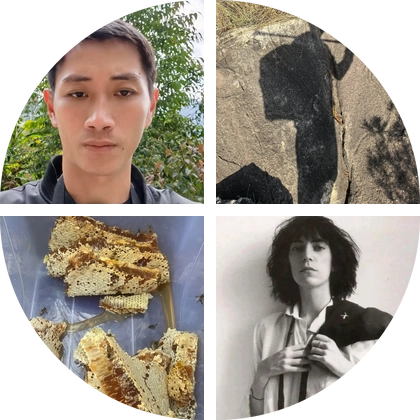 【阿海寻蜂记】踏青寻蜂游 群聊头像