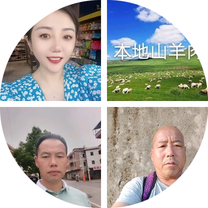 小莉养羊🐑技术交流群 群聊头像