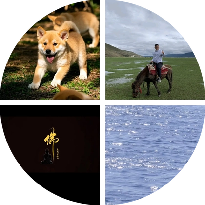 小黄，田园犬 群聊头像