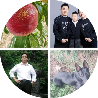 桃树苗亩种植管理 群聊头像