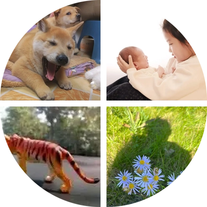狗狗队长寻狗 群聊头像