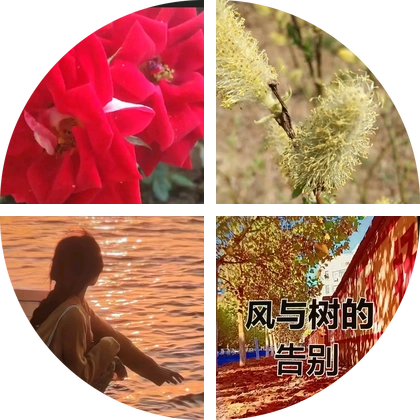 风生水起 群聊头像