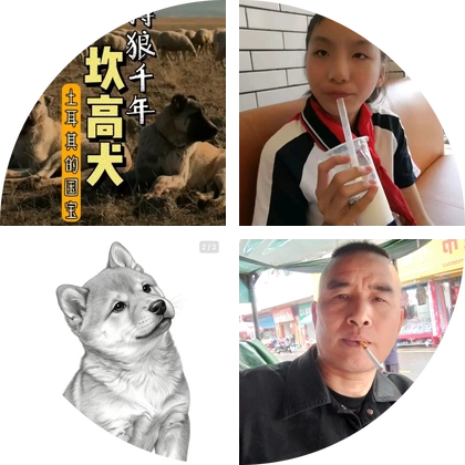 孟犬交流会 群聊头像