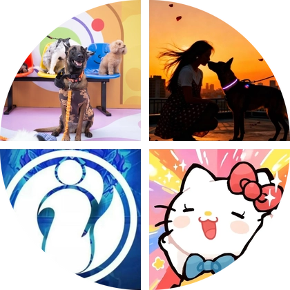 石家庄边牧大军 群聊头像