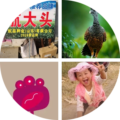 航大头，航云，九皇高产蒜种2群 群聊头像