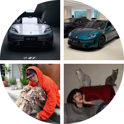 Z7&Z7T全国🚙友群 群聊头像