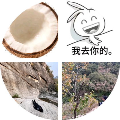 618蹲蹲🚗 群聊头像